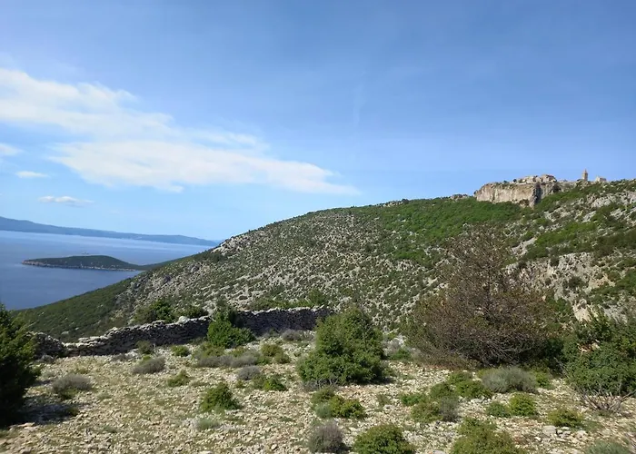 Panorama *